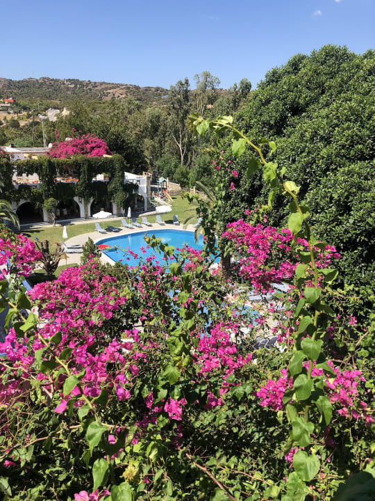Ausblick Ekaterini Hotel