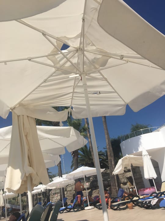 Pool Monachus Family Resort Sorgun