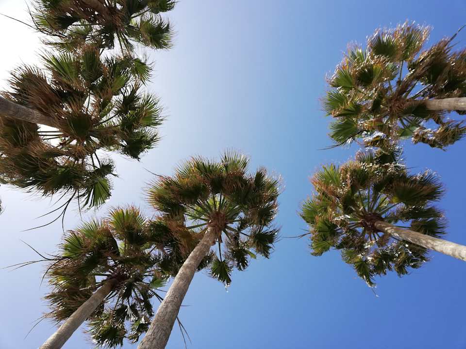 Ausblick One Resort Premium Hammamet