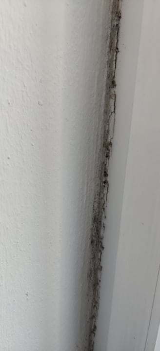 Zimmer Clubhotel Edelweiss