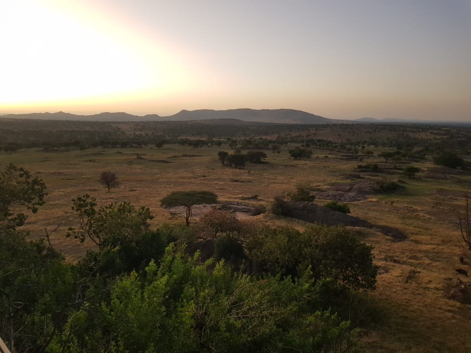Ausblick Hotel Lobo Wildlife
