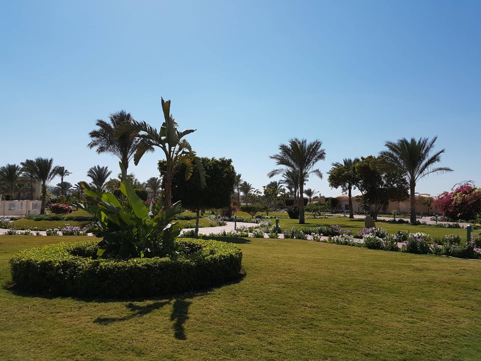 Desert Rose Resort Desert Rose