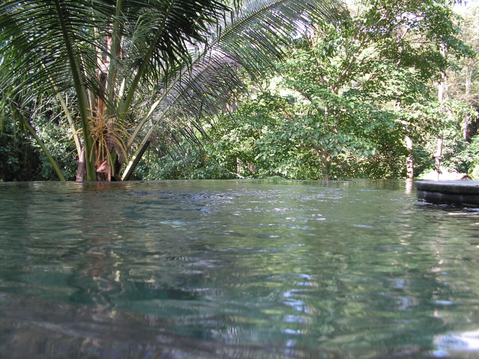 Pool unten am Fluß Maya Ubud Resort & Spa Bali