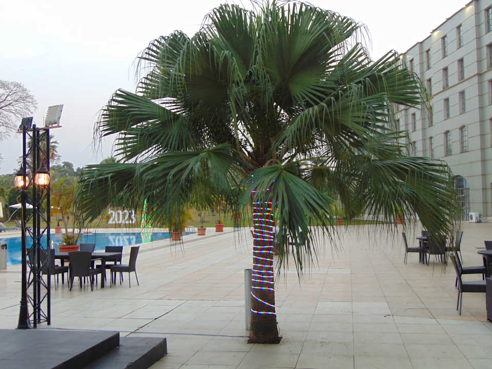 Pool Bisila Palace Hotel