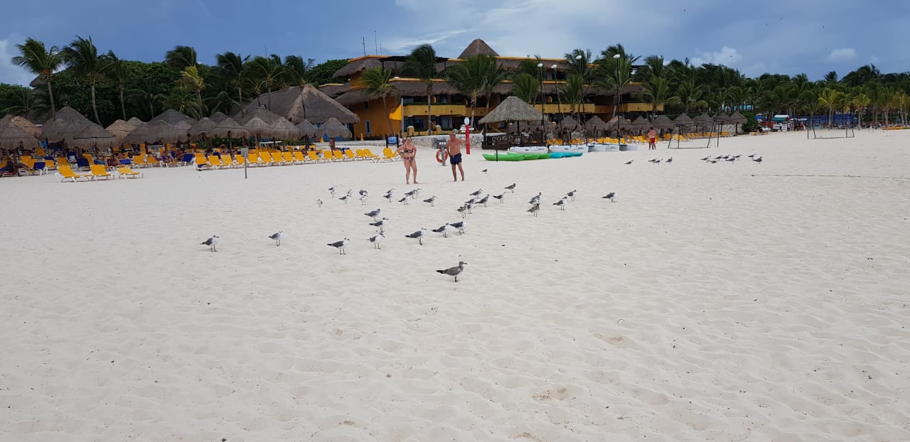 Strand Iberostar Waves Tucan