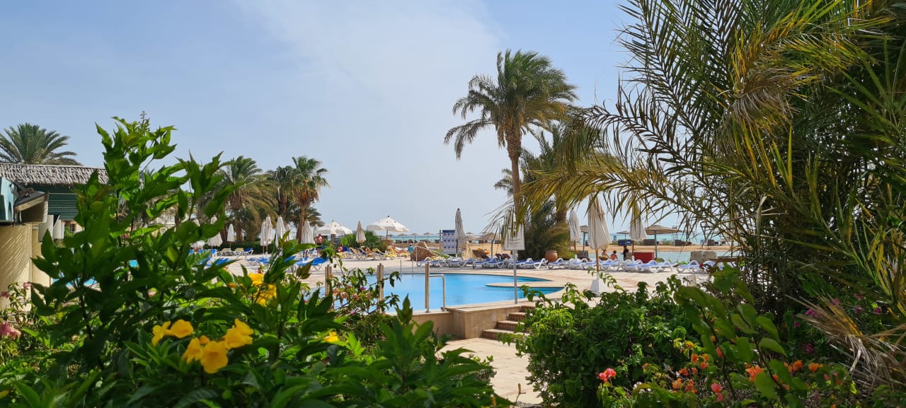 Pool Mövenpick Resort & Spa El Gouna