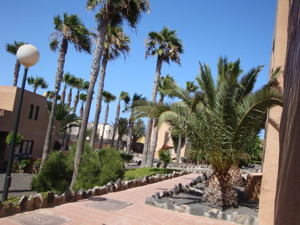 Garten Hotel Oasis Dunas