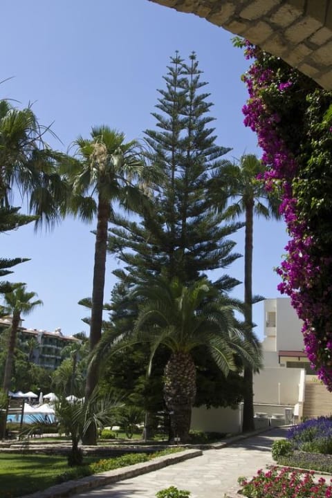 Ab zum Wasser Barut Hemera