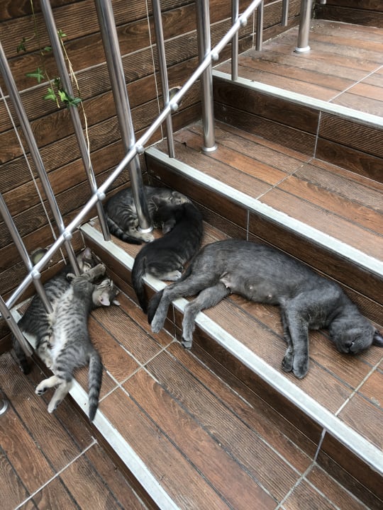 Sonstiges Hane Family Resort