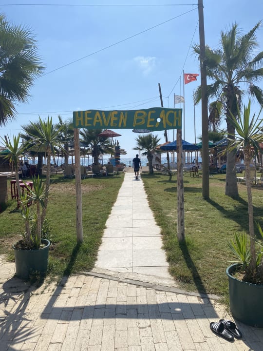 Strand Asteria Bloom Side