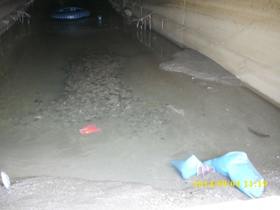 Stinkendes wasser Dizalya Palm Garden