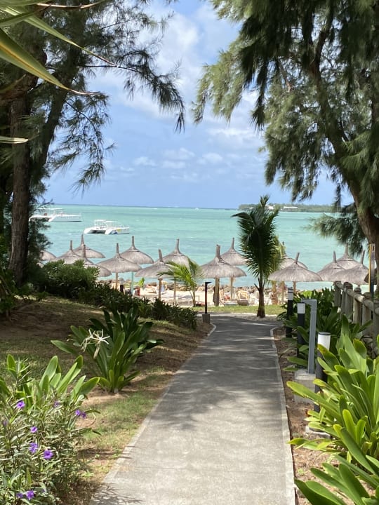 Gartenanlage Lagoon Attitude - Adults only