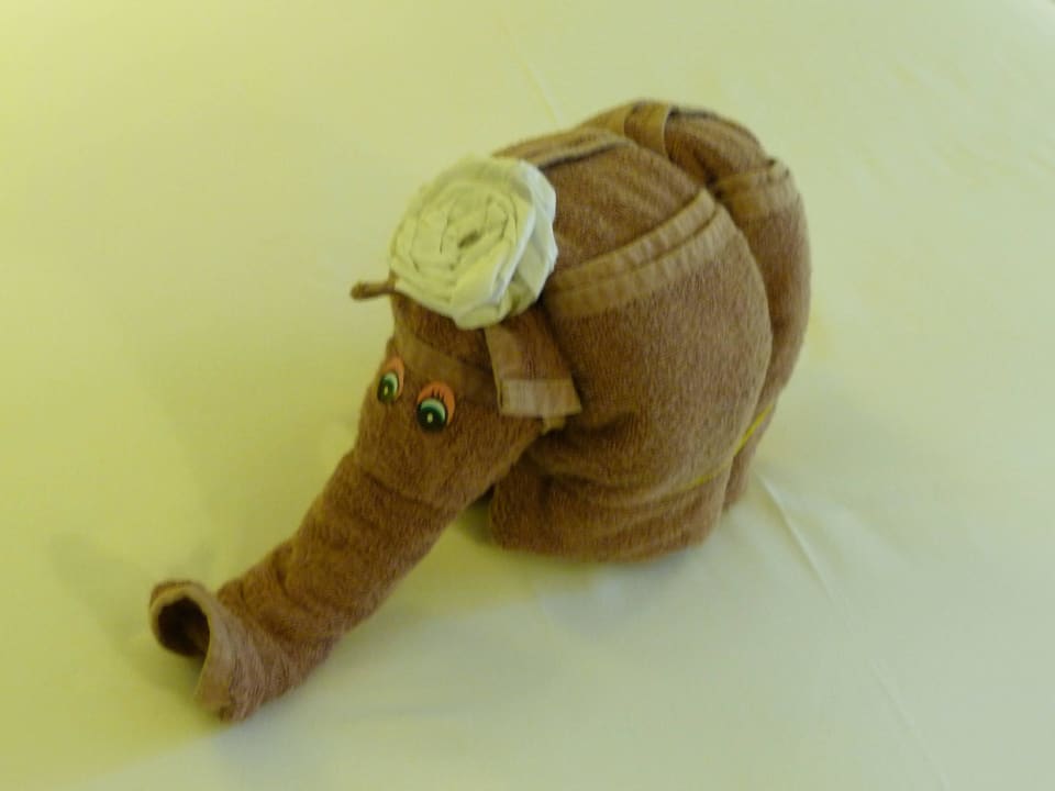 Handtuchtier Hotel Riu Tequila