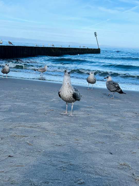 Strand Seaside Park Hotel