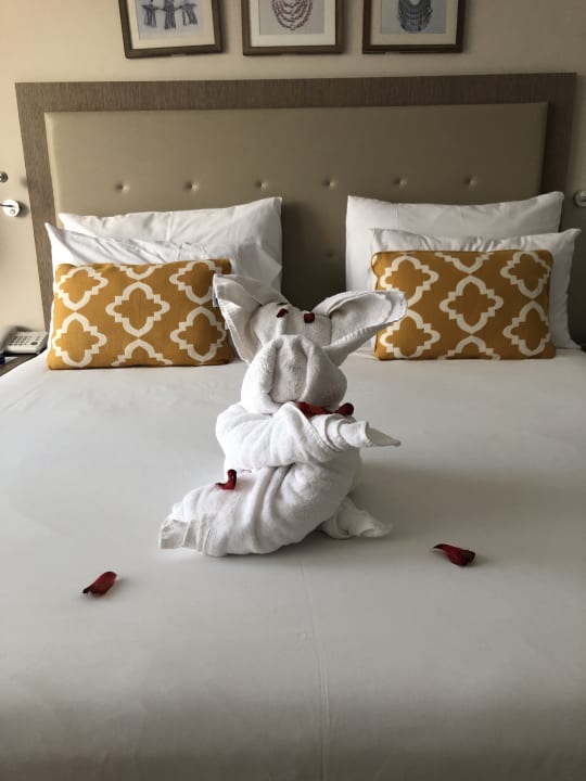 Zimmer Steigenberger Resort Alaya Marsa Alam - Red Sea - Adults only