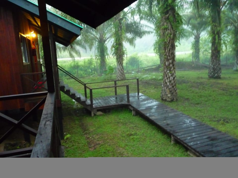 B&B Sukau Backpackers  B&B Sukau Backpackers