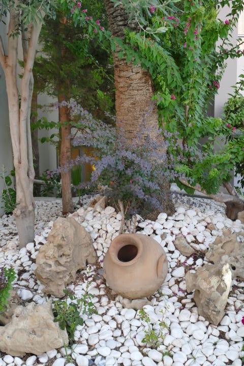 Gartenanlage Hotel Minos Mare Beach