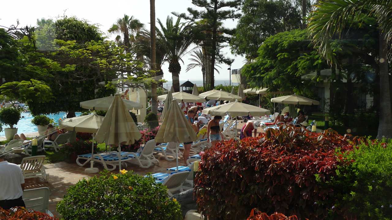 La Piscine - Hôtel H10 Las Palmeras - 2013 H10 Las Palmeras
