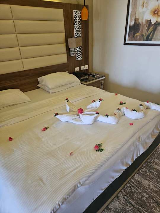 Zimmer Pickalbatros Sea World Resort - Marsa Alam