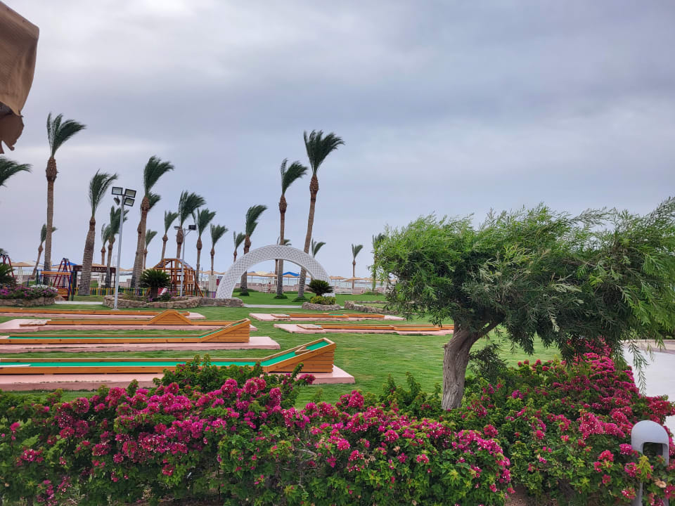 Gartenanlage Pickalbatros Royal Moderna Resort-Sharm El Sheikh
