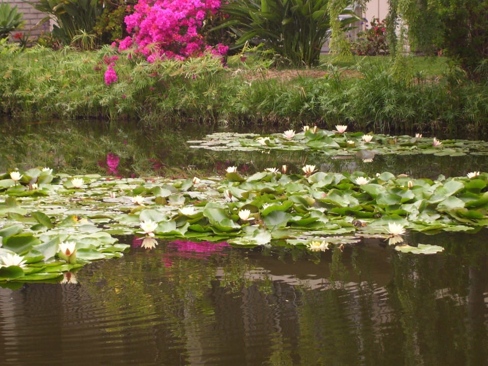 Auf dem Weg zum Pool Hotel Ramada Limited Santa Barbara