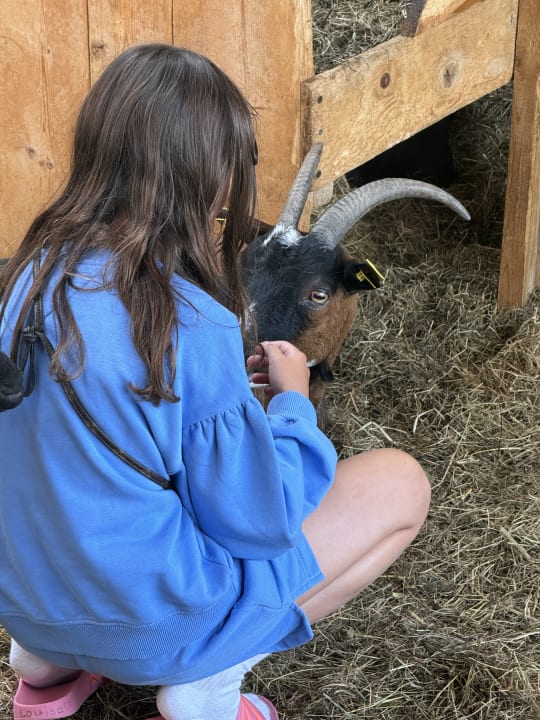 Gartenanlage Kinderhotel Felben