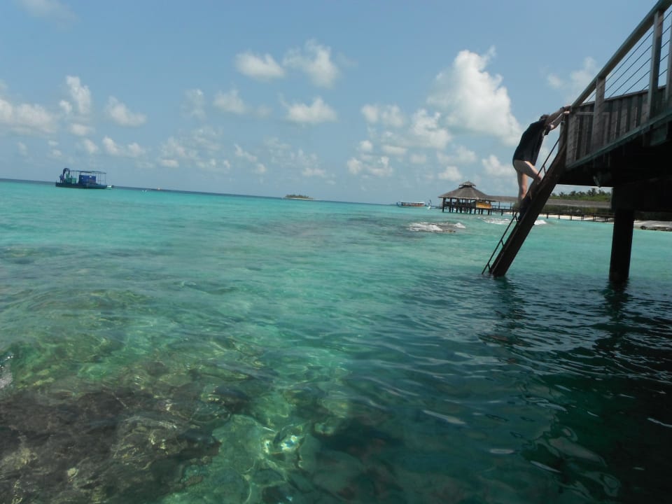 Vom Wasser auf den Bungi gesehen NH Collection Maldives Reethi Resort