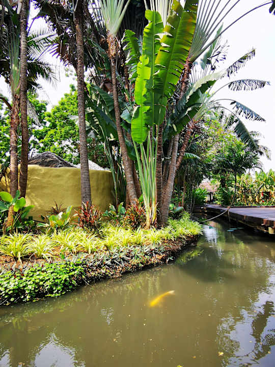 Gartenanlage Sheraton Hua Hin Pranburi Villas