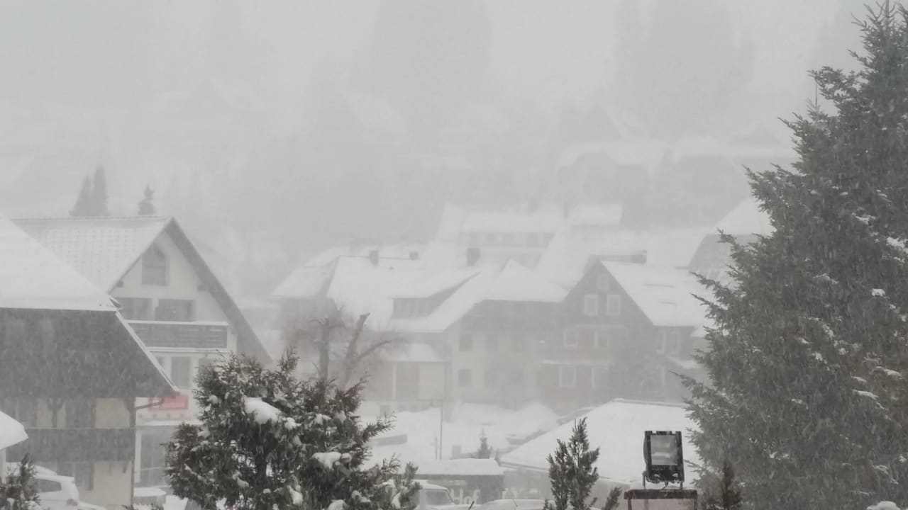 Vom Balkon Hotel Schwarzwälder Hof