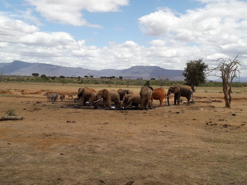 Ausblick Sentrim Tsavo Lodge