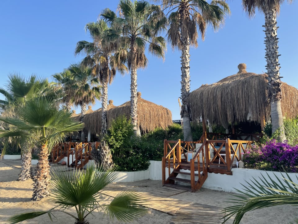 Strand Paloma Oceana