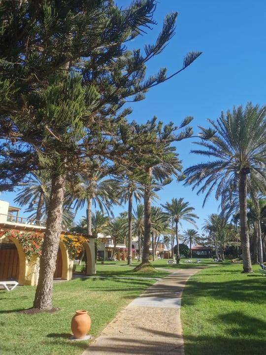 Gartenanlage ROBINSON JANDIA PLAYA