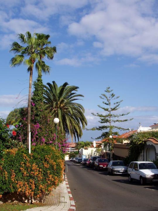 Zufahrtsstrasse zum Hotel BLUESEA Costa Jardin Spa