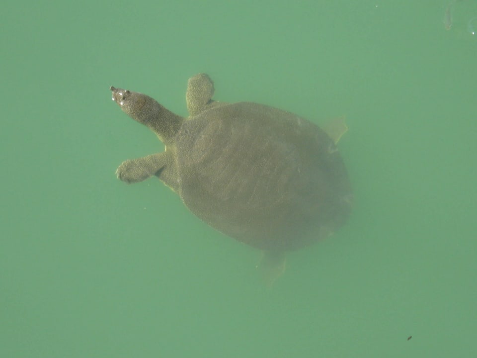 Sehenswürdigkeiten Grand Seker Hotel