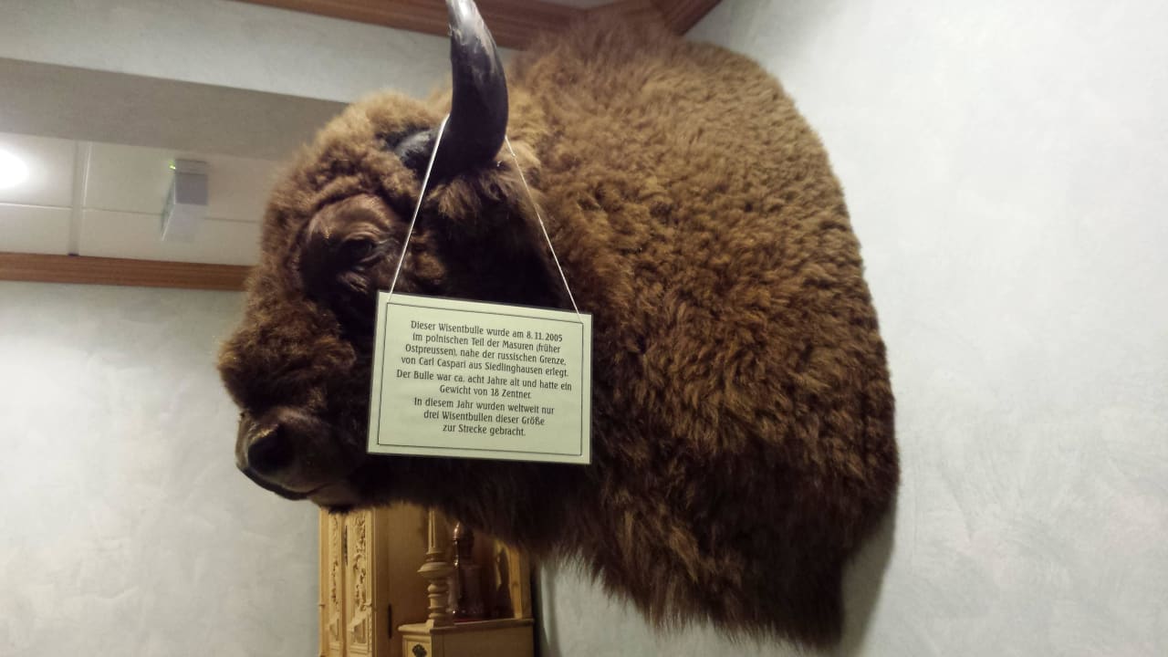 Büffel im Erdgeschoss Landhotel Wüllner