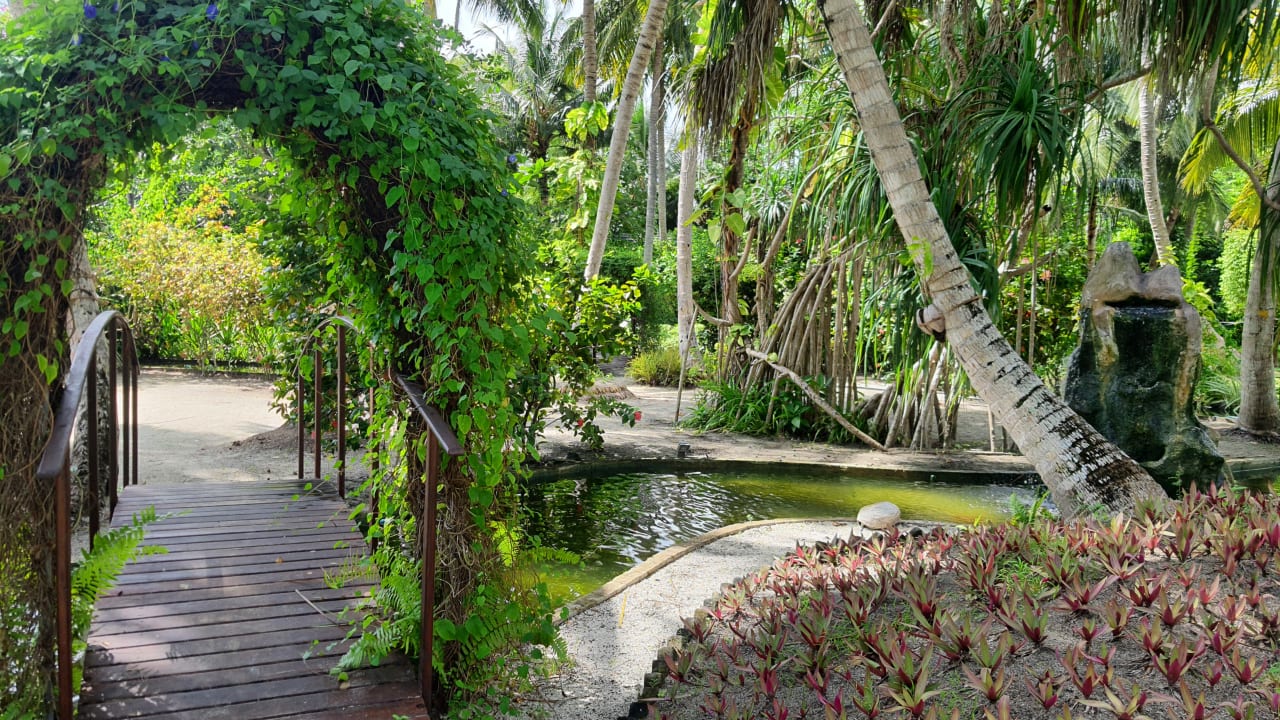 Gartenanlage Adaaran Select Meedhupparu Island Resort - Premium All Inclusive