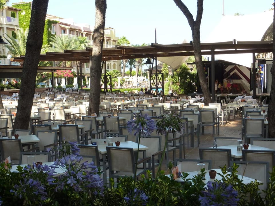 Alla Card Restaurant Zafiro Bahia