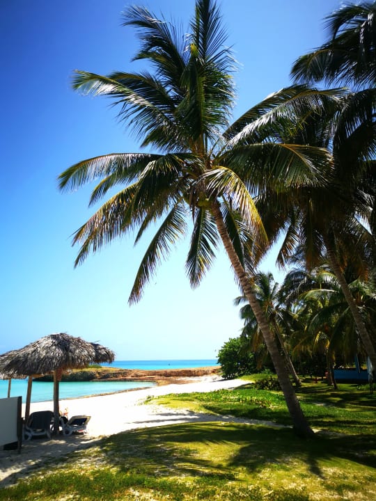 Gartenanlage Sirenis Tropical Varadero