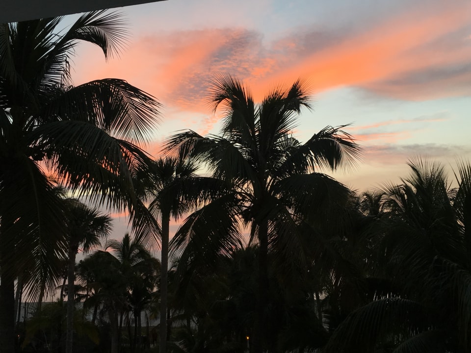 Ausblick Hotel Riu Plaza Miami Beach
