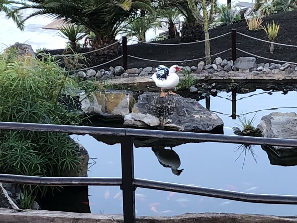 Außenansicht La Palma Princess