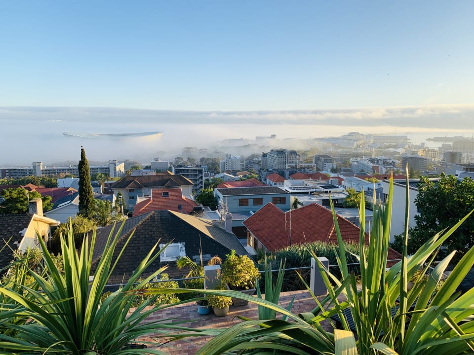 Ausblick Guesthouse Bluegum Hill