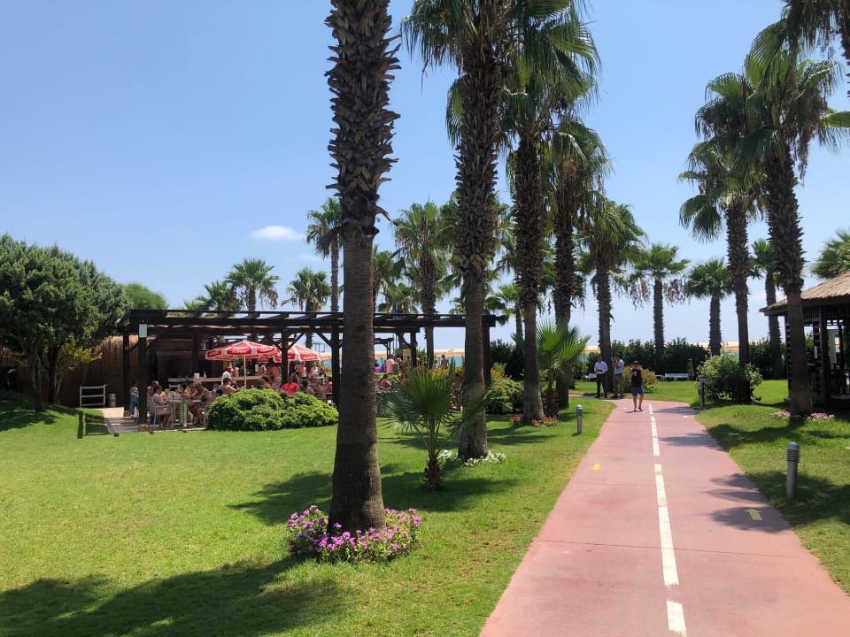 Gartenanlage Saturn Palace Resort Hotel