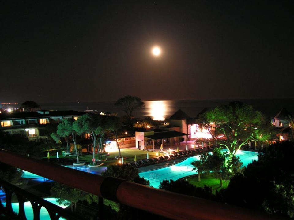 Wenn es Nacht wird Papillon Ayscha