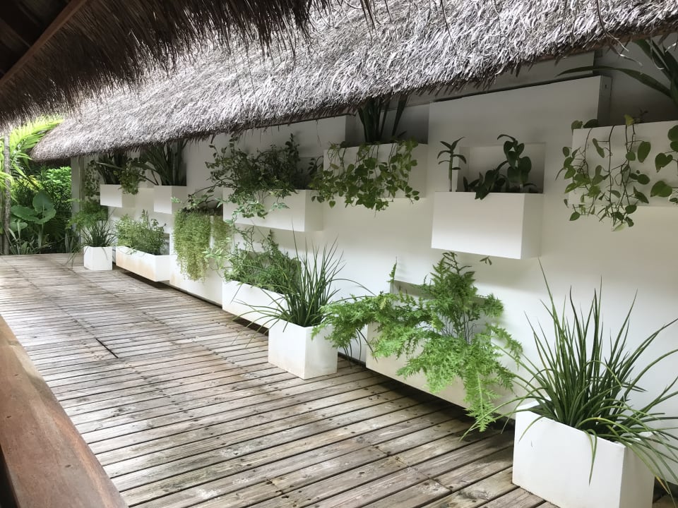 Sonstiges Kuramathi Maldives