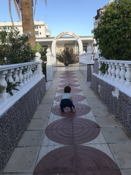 Sonstiges HL Miraflor Suites Hotel