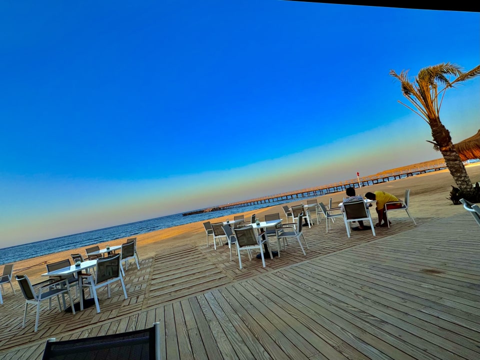 Gastro JAZ Elite Amara