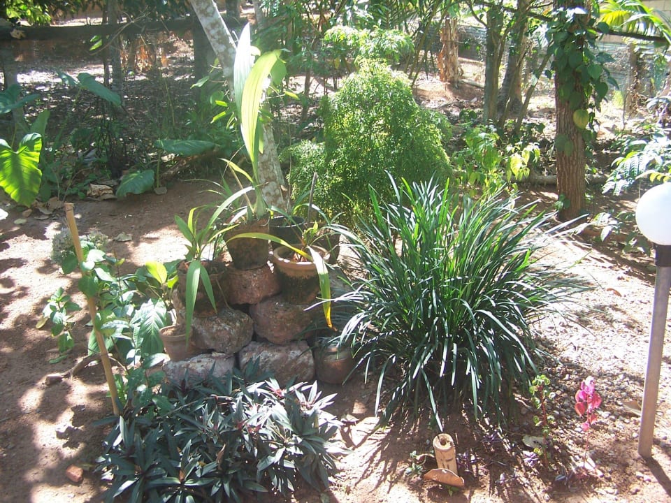 Eingangsbereich im Garten ELDC Dreamcatcher House