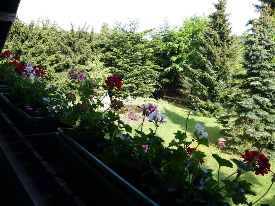 Blick vom Schlafzimmerbalkon Apartment Panoramablick