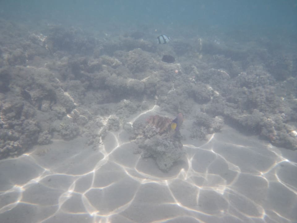 Strand Cleopatra Luxury Resort Makadi Bay