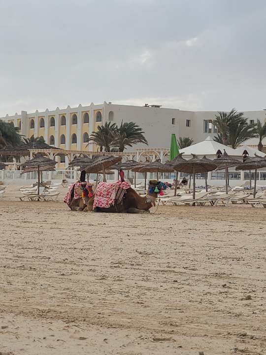 Strand Calimera Yati Beach